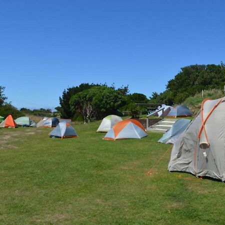 Dunedin Holiday Park المظهر الخارجي الصورة